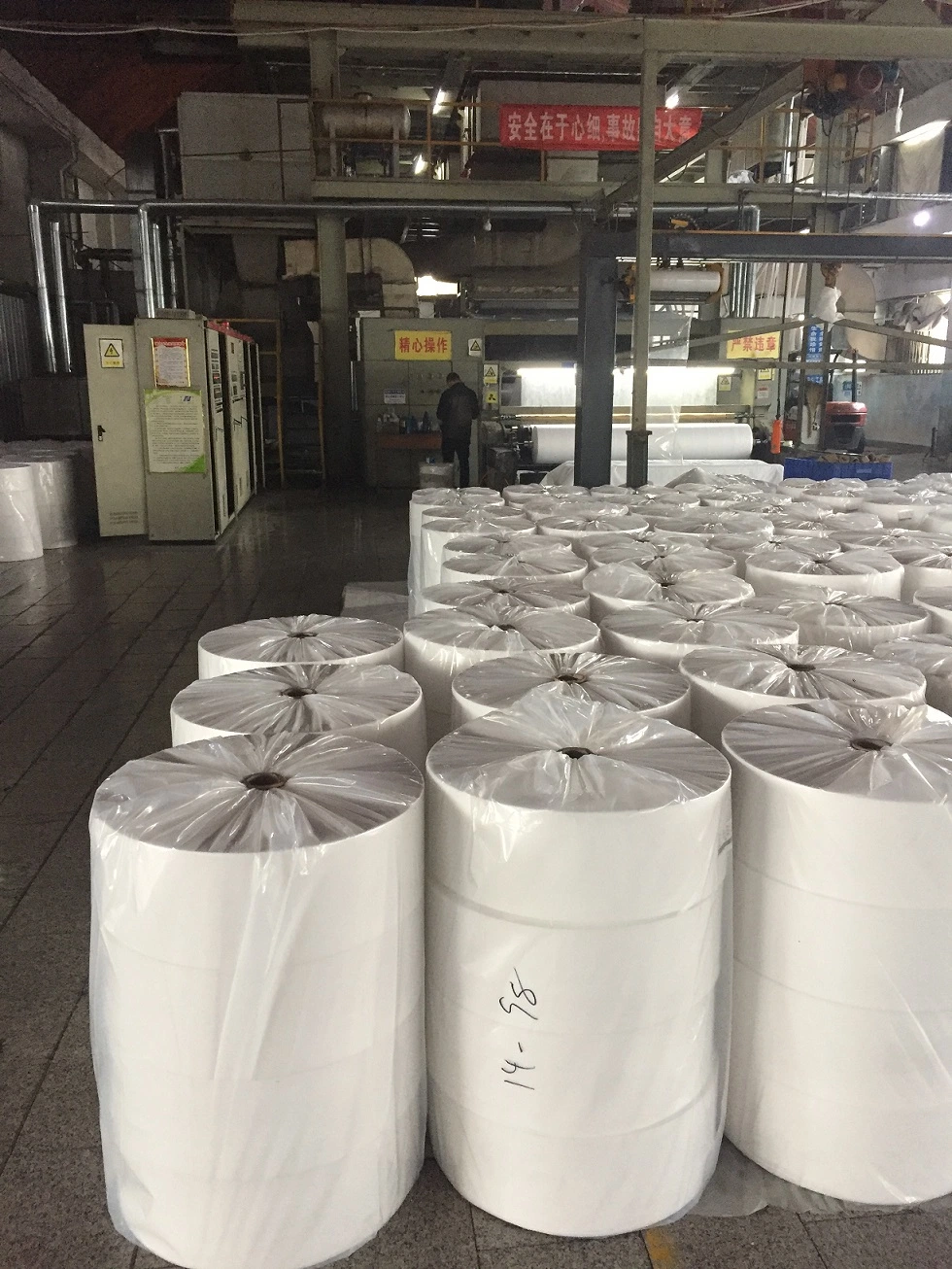 Agriculture Spunbond 18GSM Medical TNT Nonwoven Roll Fabric PP