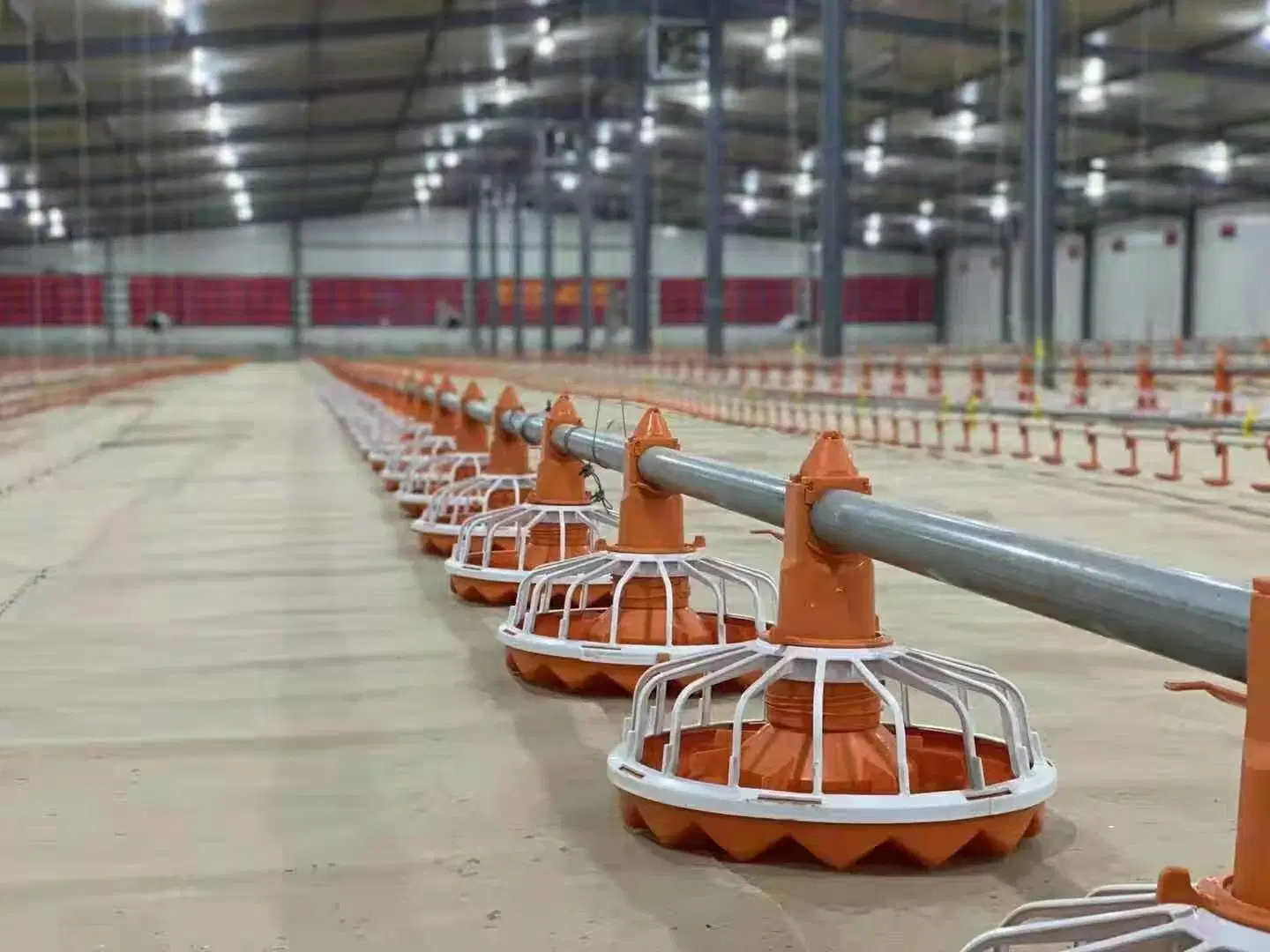 Granja avícola automático Gallinero Coop Alimentador Automático de Broiler la ganadería de la bandeja de sistema de alimentación para la capa de Broiler