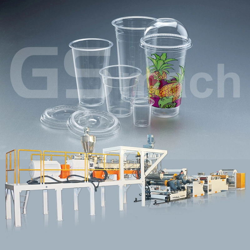 Plastic Sheet Extruder Machine for Pet Egg Packaging Box