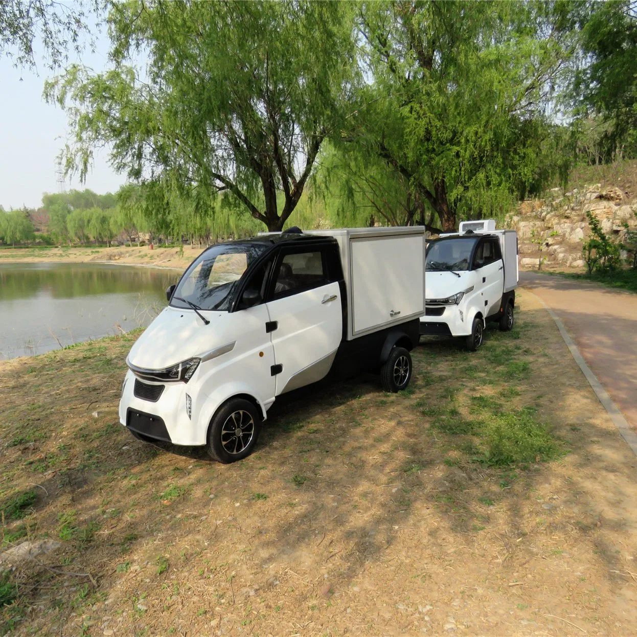 EEC Long Range Mini elektrische Pickup für den europäischen Markt