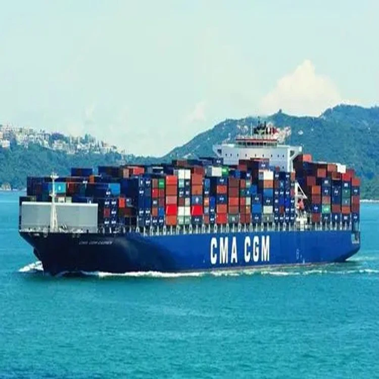 Sea Freight Service Shenzhen China to Port Au Prince Ocean Shipping Forwarder Low Price