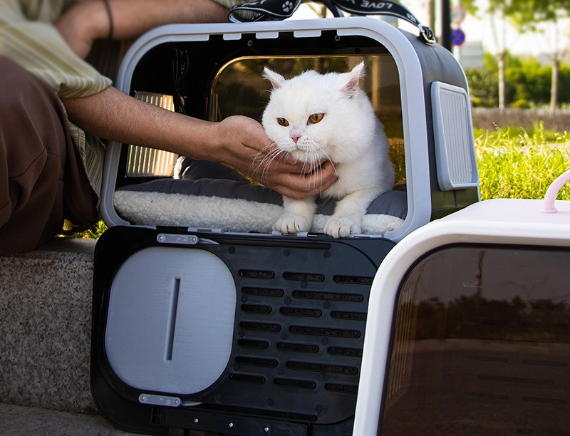 Исходящий портативный ПЭТ-носитель большой емкости для собак Cat высокой стоимости