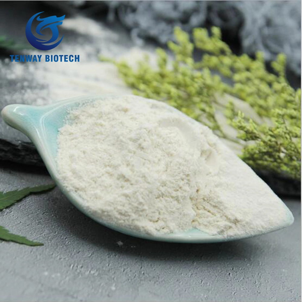 High quality/High cost performance  Food Ingredient Edible Sodium Acetate Powder Used as Food Preservative