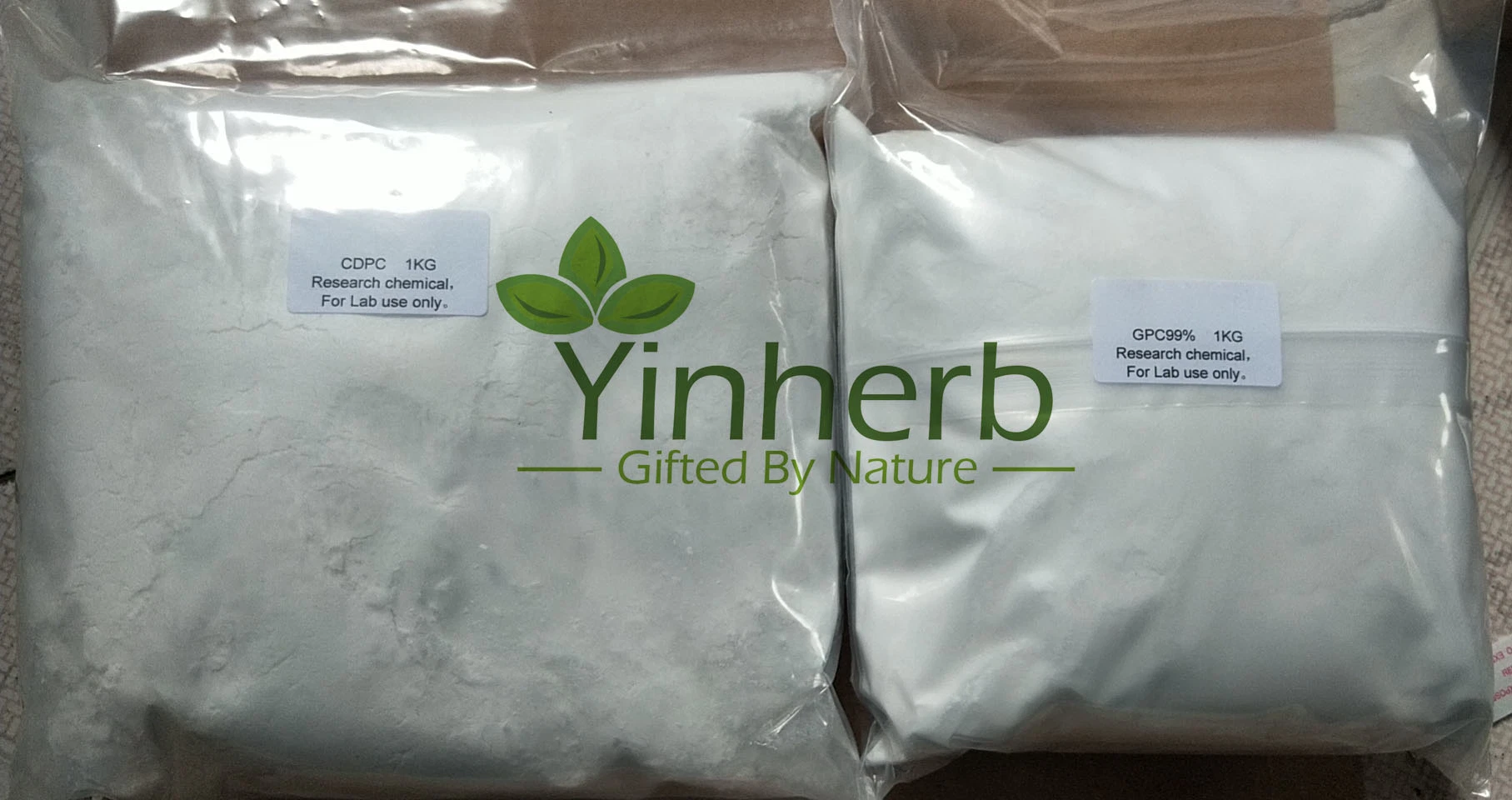 High quality/High cost performance  Alpha GPC Alpha-Glycerophosphoryl Choline Raw Powder