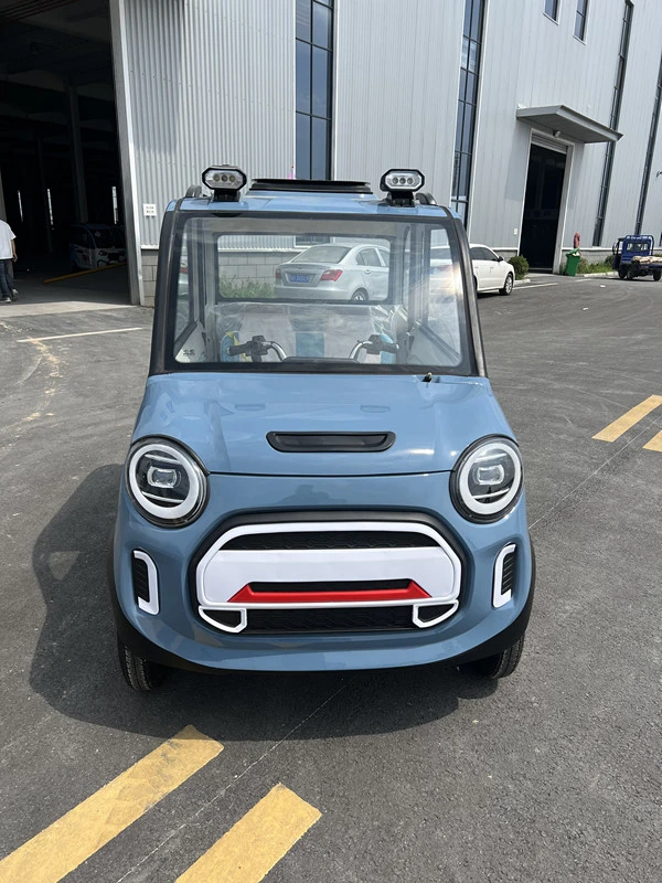 Personnalisation en usine Prix bon marché fermé 2 portes 4 roues avec Petite voiture électrique Dandle Bar.