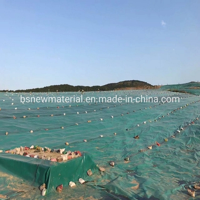 HDPE/LDPE/EVA/PVC Waterproof Geomembrane Pond Liner, 100% Virgin, for Dam Liner, Good Price