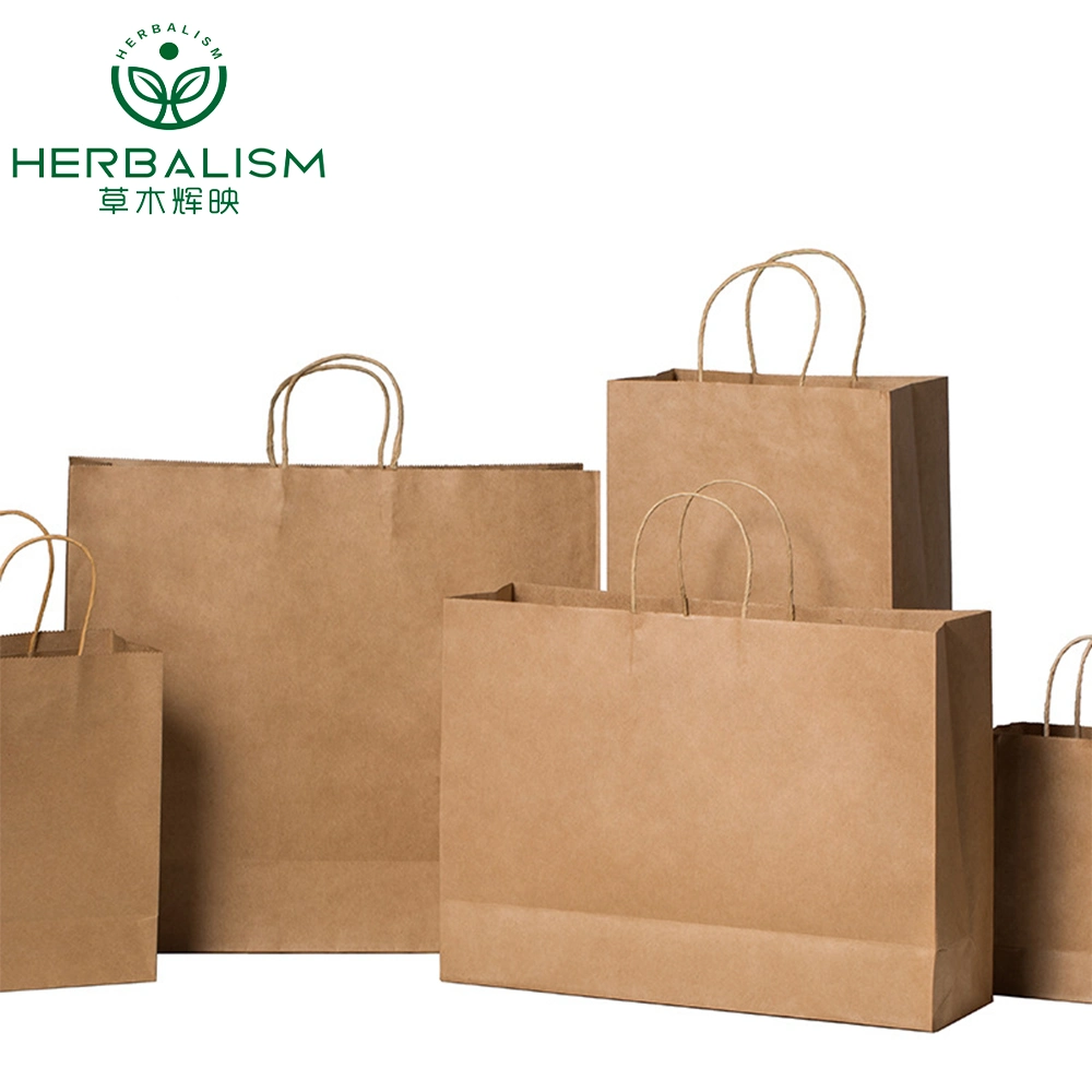 Recycled Retail Grocery Shopping Packaging Fast Food Take Away Kraft Paper Bag