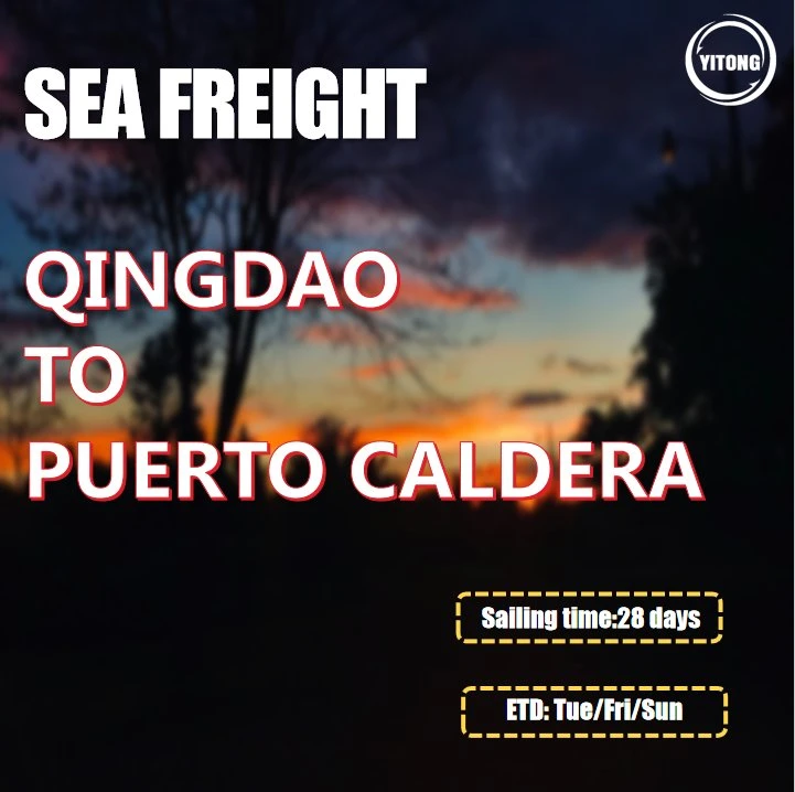 Shipping Container From Shenzhen to Puerto Caldera Costa Rica