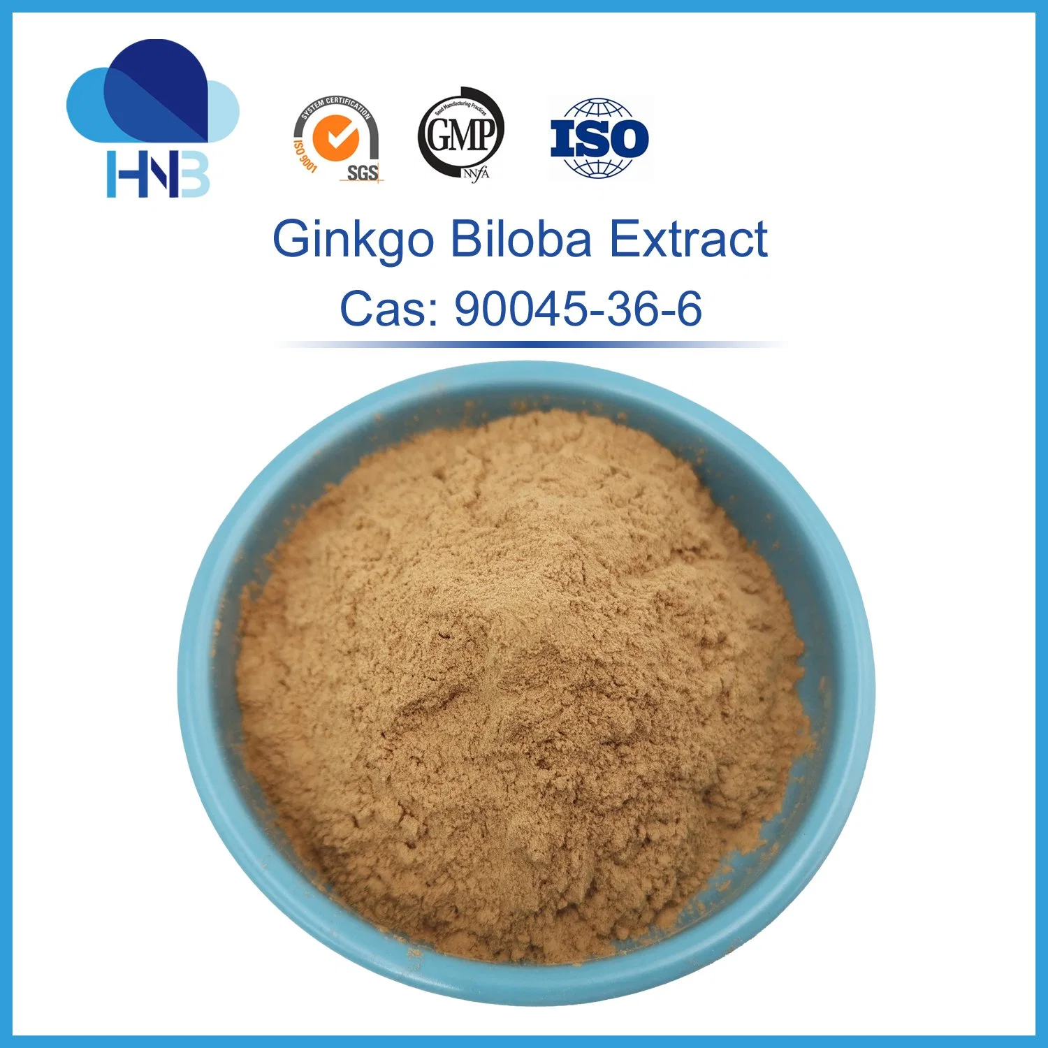 Natural Herbal Extract Ginkgo Biloba Extract Powder