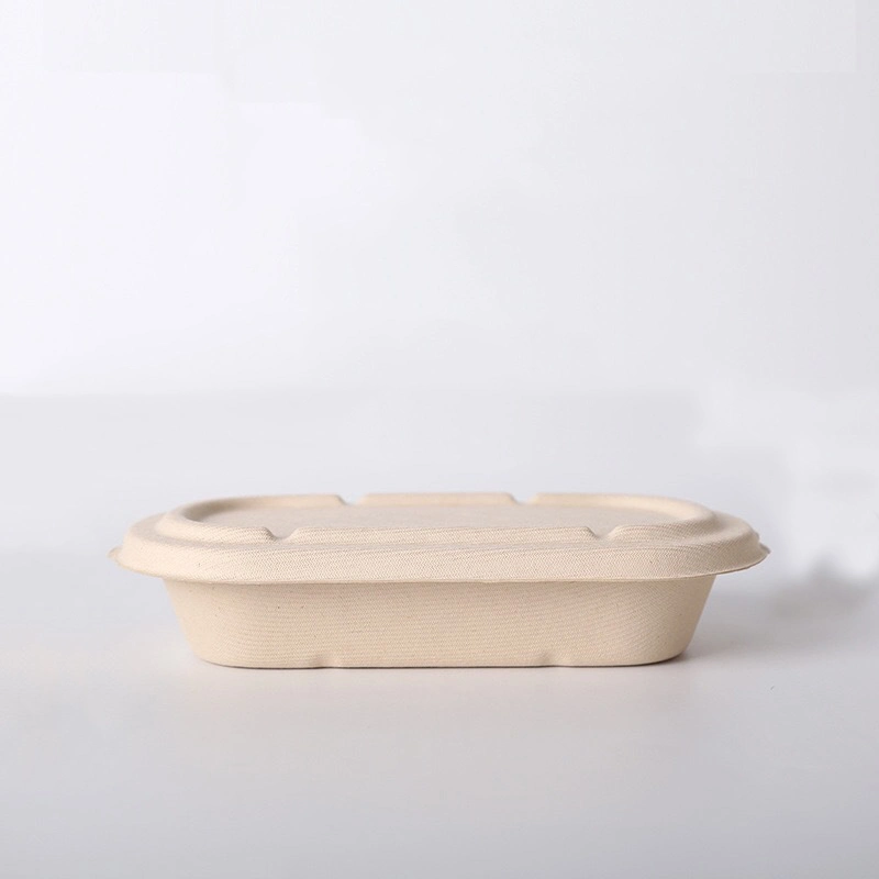 Food Grade Rectangular Bagasse Food Container Disposable Takeaway Packaging Box Fast Food Box Fruit Snack Lunch Box