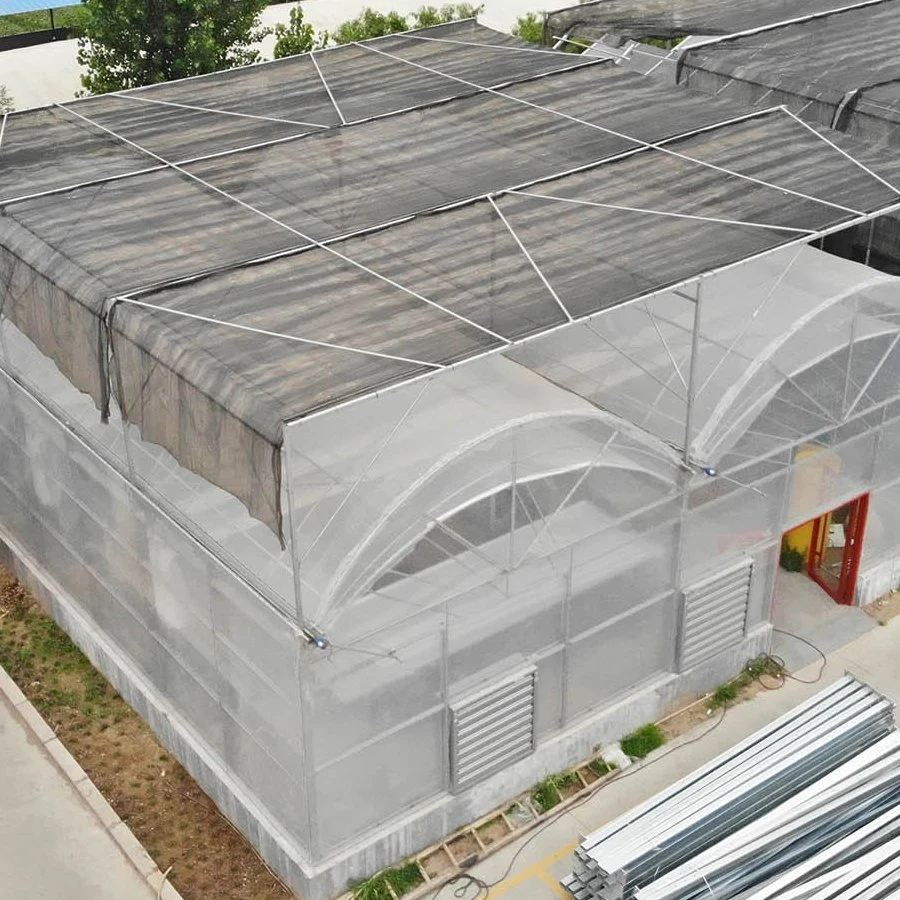 Manufacturer Agricultural Plastic/ Film Greenhouse for Vegetables/Fruit