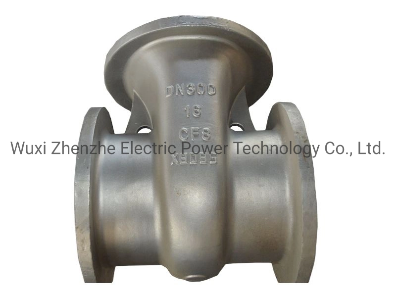 Staniless Steel Pipe Fittings/T Type Strainer/Y Type Strainer Valve Parts/Steel Cating/Precision Casting