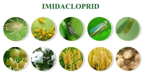 Ruigreat insecticida químico de buena calidad Methomyl9% +imidacloprid 1% EC