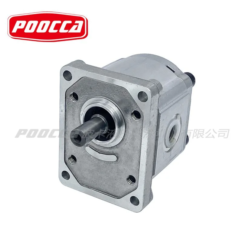 Analogue Polaris 10 20 30 Php10 Php20 Php30 Plp10 Plp20 Plp30 Series Best Casappa Hydraulic External Gear Oil Pump for Rope Shovels