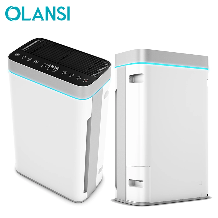 Hot Selling Ion Air Cleaner High Efficiency Smart Air Cleaner for Restaurant Home Use