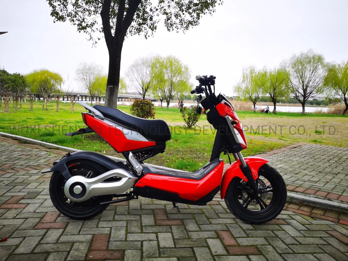 La vente en gros de la Chine 2022 Nouveau modèle Ecorider 12pouces 1500W La Ville de longue portée de la route deux roues scooter avec pneu en matières grasses non rabattable électrique de montagne Dirt Bike