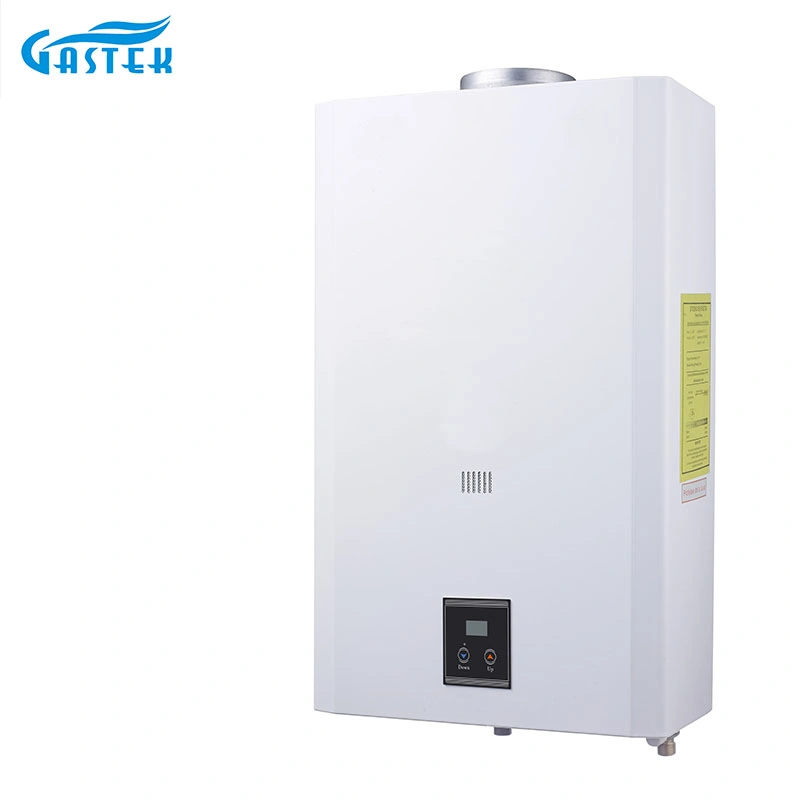 New Constant Temperature 10L 12L 16L 18L Hot Sale Home Appliance Flue Type Wall Mounted Tankless Instant LPG Natural Hot Water Gas Water Heater for Shower