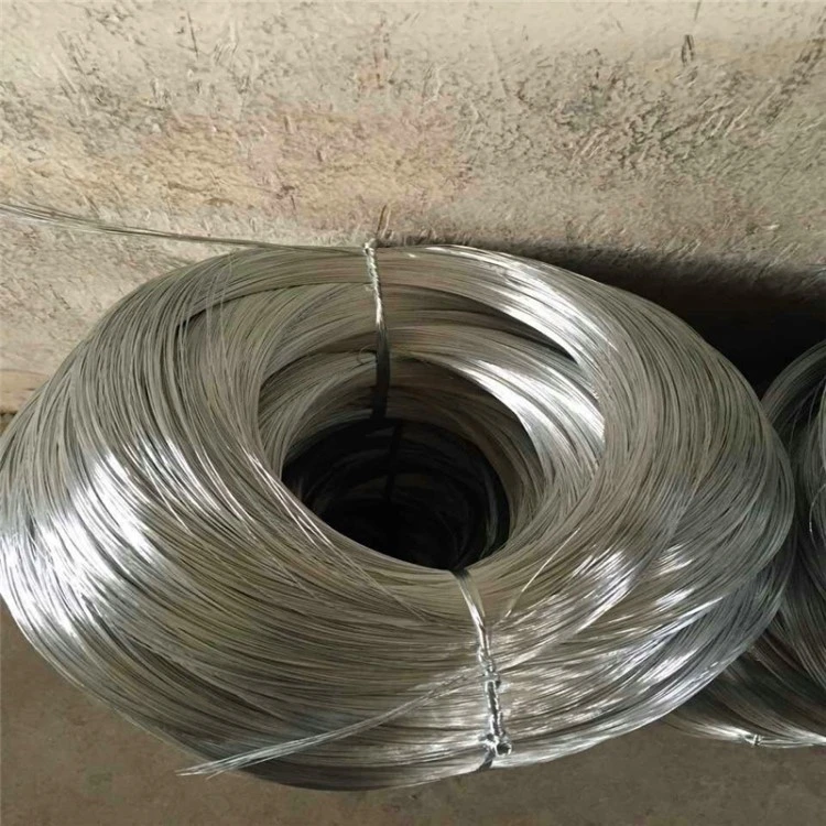 Hot Dipped/Electric Galvanized Mild Steel Binding Wire/Black Annealed Iron Tie Wire Bright Florist Cut Stainless Steel Spool for Construction/Building Material