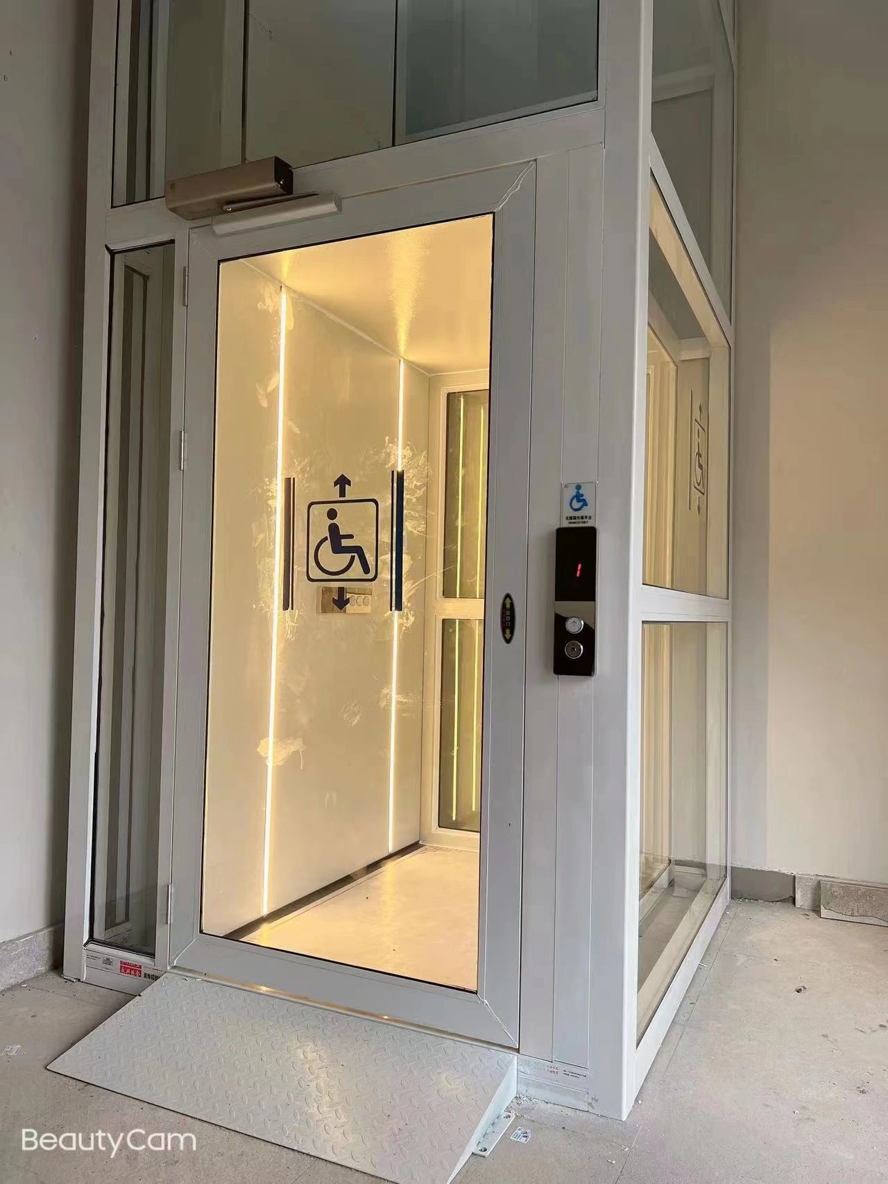 Outdoor Indoor Vertical Home Lift Home Elevator with Glass Enclosure