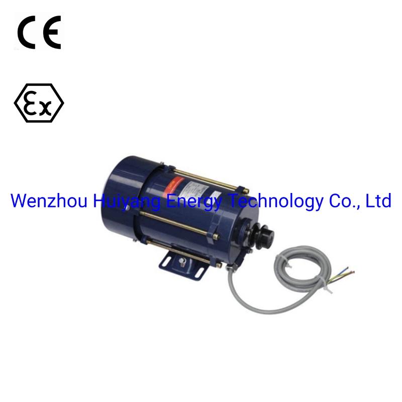 Prueba de explosiones de 220V para el combustible del motor de hierro dispensador