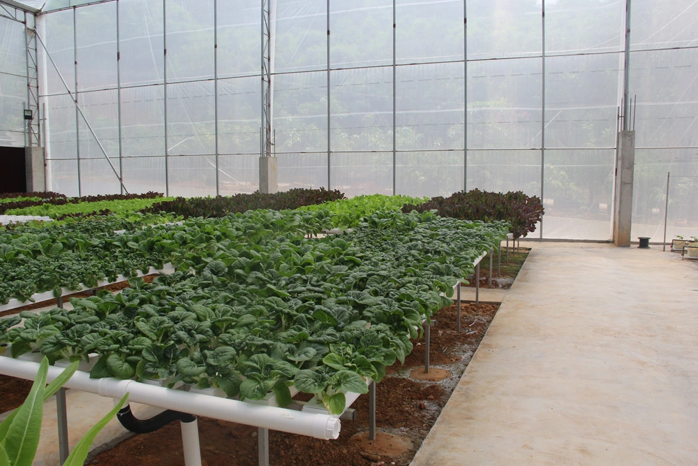 Nft de efecto invernadero de cultivo para la granja Los sistemas de cultivo