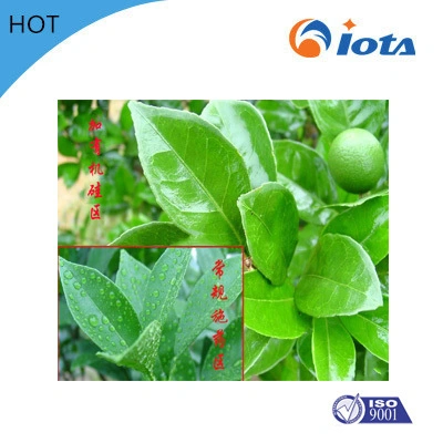 Wetting and Dispersing Additive Iota 2000 Silicone Agricultural Agent