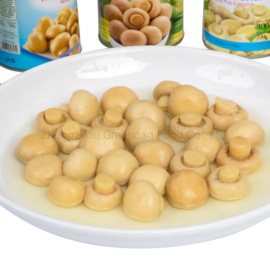 China Wholesale Fresh Mushroom Whole 425g