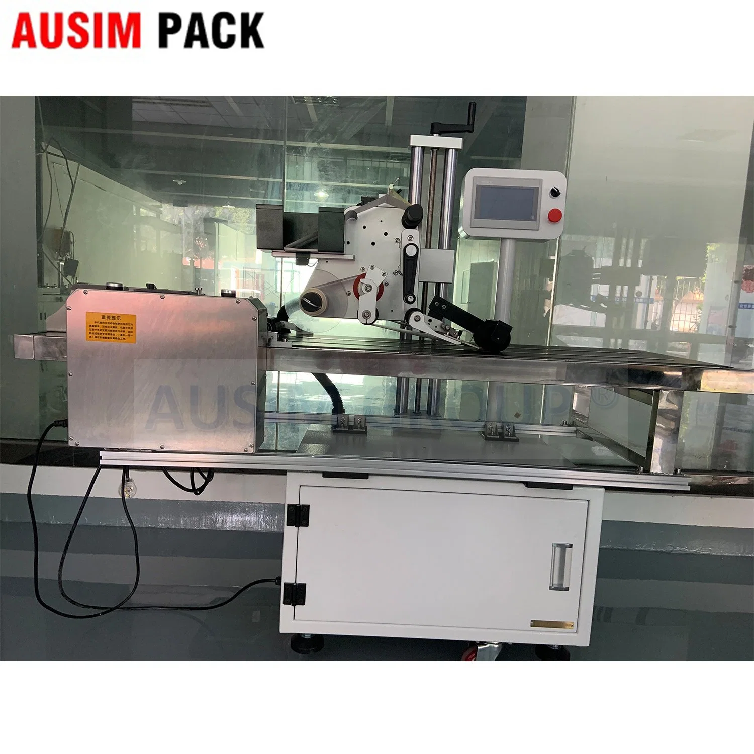 Solidpack Automatic Small Bag/Card Feeding and Top Side Labeling Machine with Online Printing Apply System with Thermal Printer