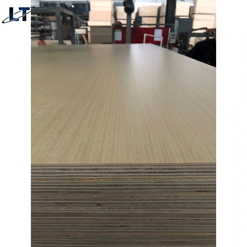 E1 Plywood 4X8 12mm 15mm 18mm Plywood Wood Sheet Scratch Resistant Melamine Plywood Plate for Mauritius