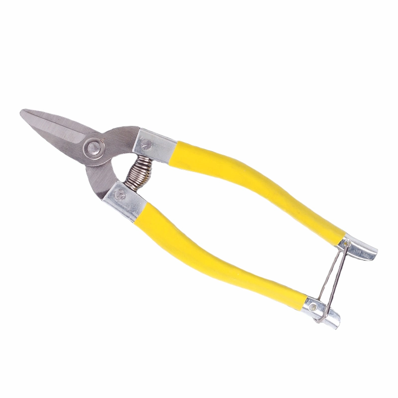 Vigetable Fruit Cutter Pruner Sharpener