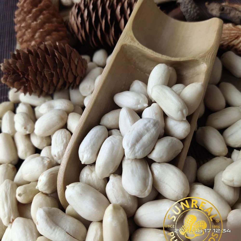 Best Materials/Raw Blanched Peanut Kernels/Virginia/High quality/High cost performance 