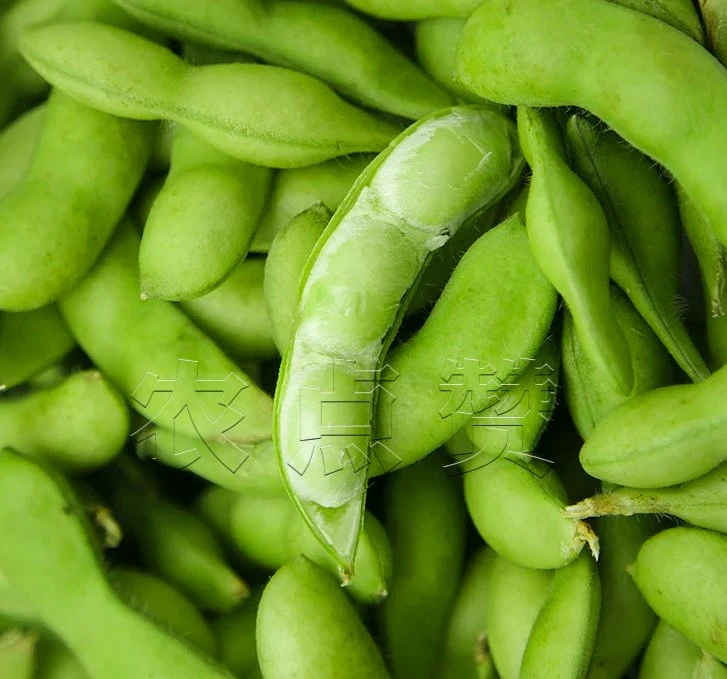 Early Maturing High Yield Beans Soybean Seeds