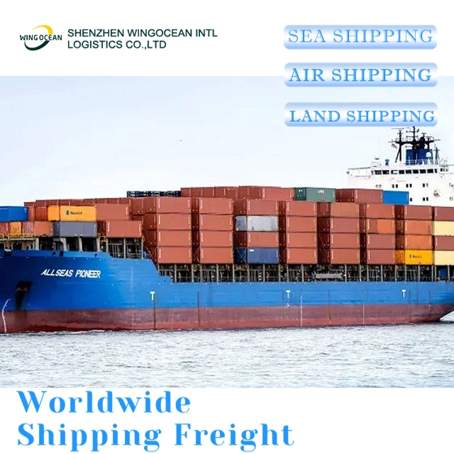 International Shipping China to Germany Maritime Cargo Logistics Service