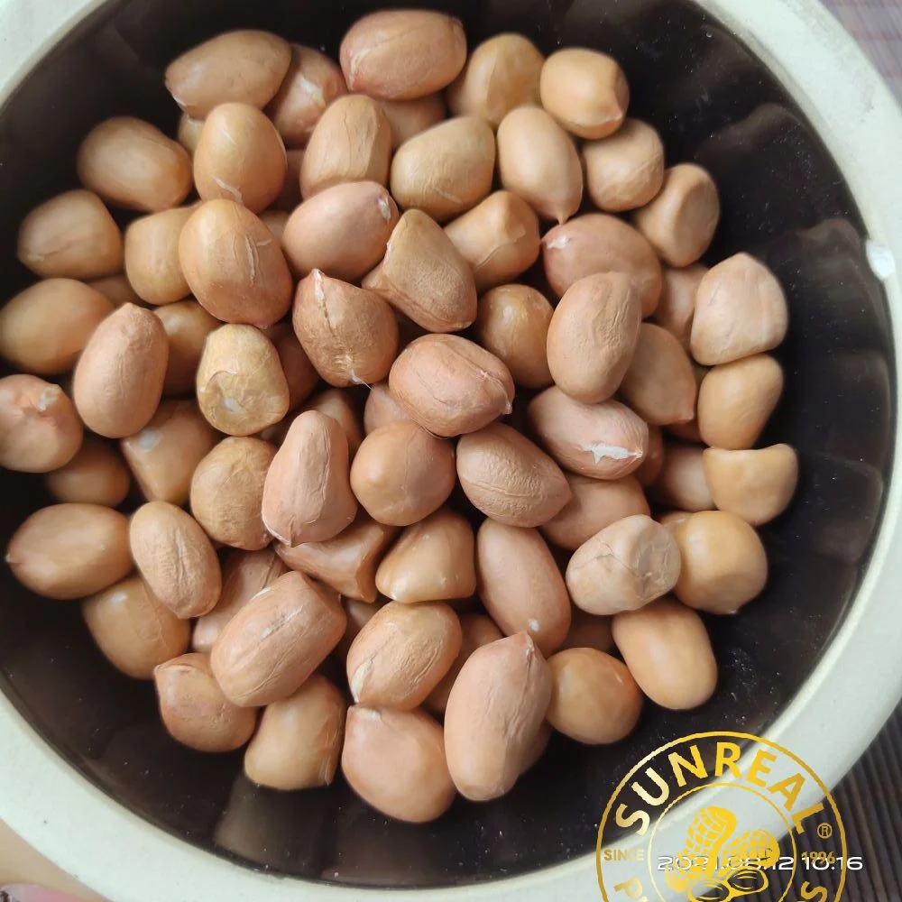 Roasted Peanut Kernels with Skin/Hsuji/Leisure Snacks 50/60