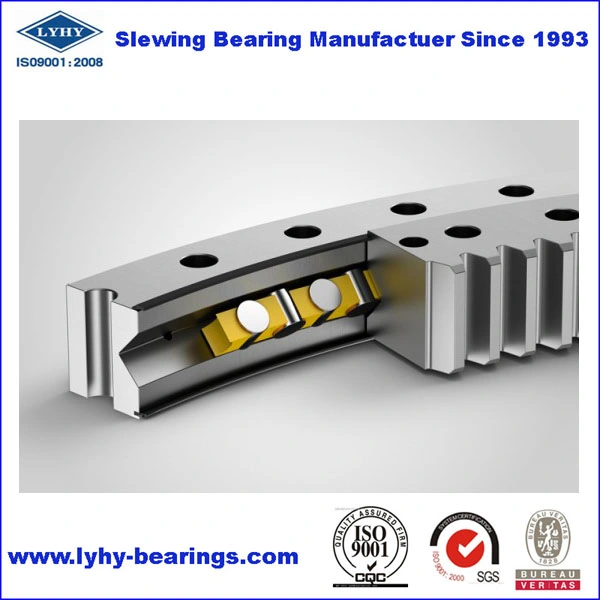 Slewing Ring Bearing with Internal Gear for Bridge Cranes 9I-1z40-1385-0301