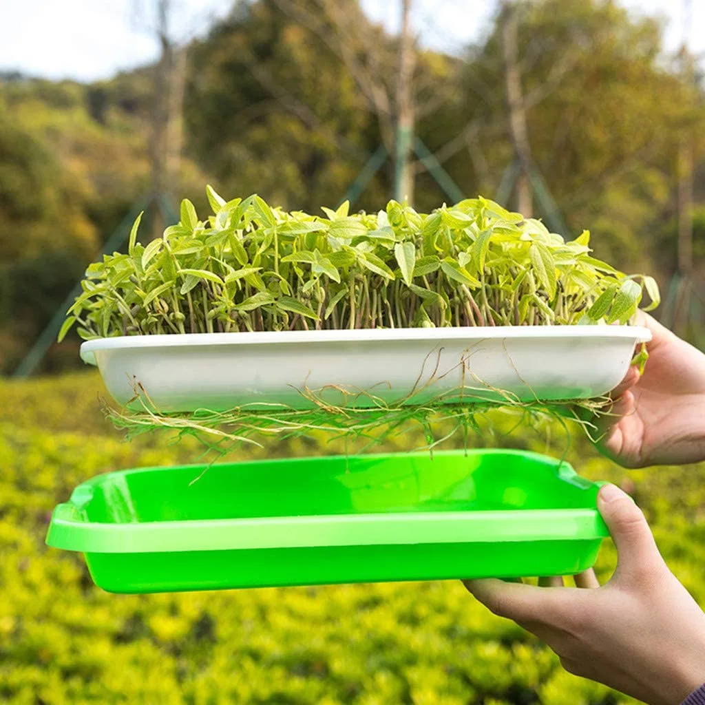 La germination des graines de semence bac Bac producteur de pousses sans BPA de pépinière pour la plantation de semis de bac costume pour Garden Home Office (32cm25cm4.5cm-10PC sans couvercle)