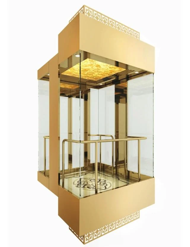 Indoor Circular Glass Sightseeing Elevator Lifts with Factory Price