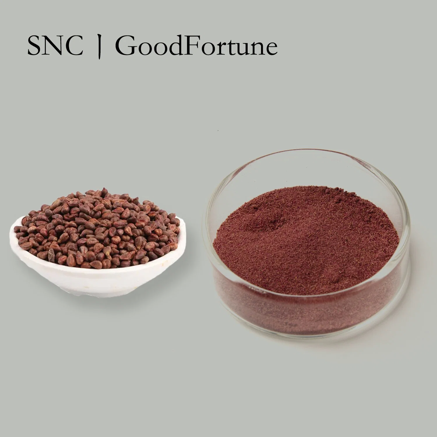 100% Pure Natural CAS. 84929-27-1 Powder Grape Seed Extract 95%