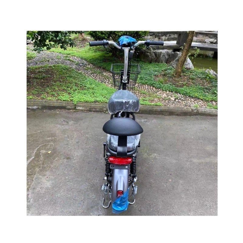 Electric Bicycle Lithium Battery E Bike Electric Pedal Assist Bike
