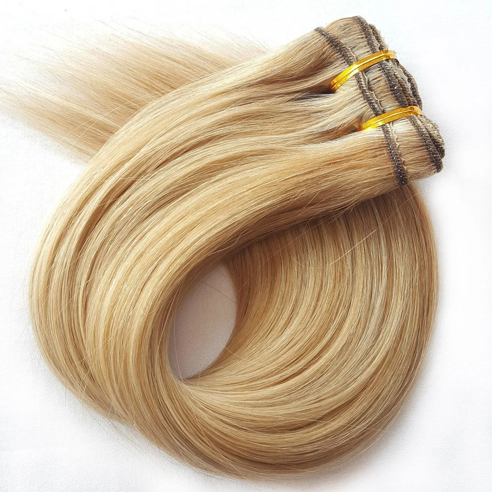 100% Human Hair Extension Clip in Human Hair Extension (AV-CH100-20-27/613)