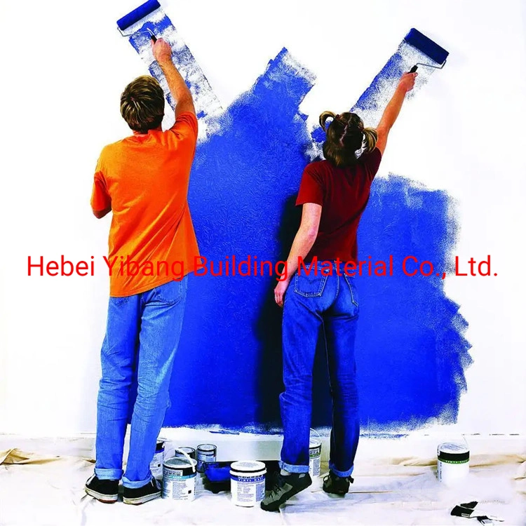 HPMC Hydroxypropyl Methyl Cellulose Construction Mortar Additive Paint Chemicals