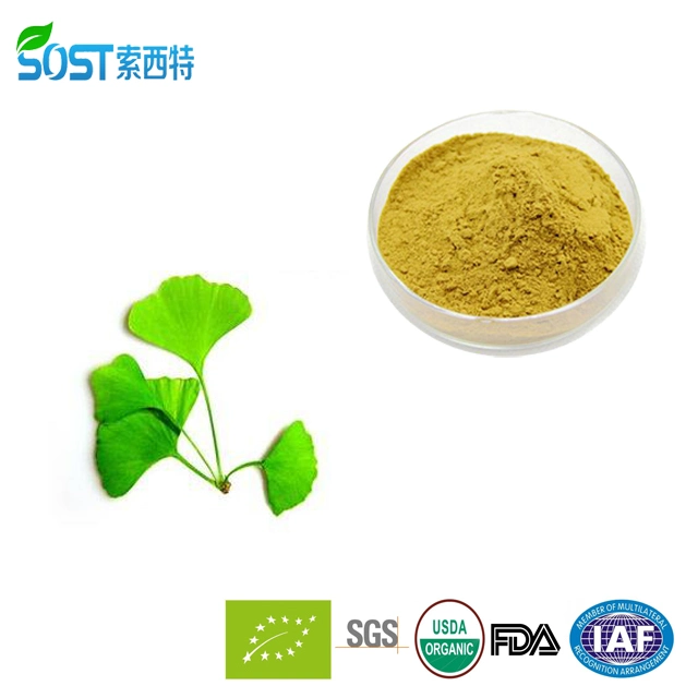 China Product Supplement Ginkgo Biloba Leaf Extract