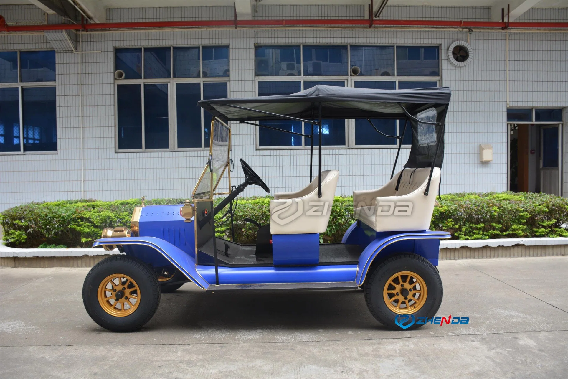 New Classic Style Unique Classic Car Multi-Wheeled Tour Car Adult Electric Vehicle