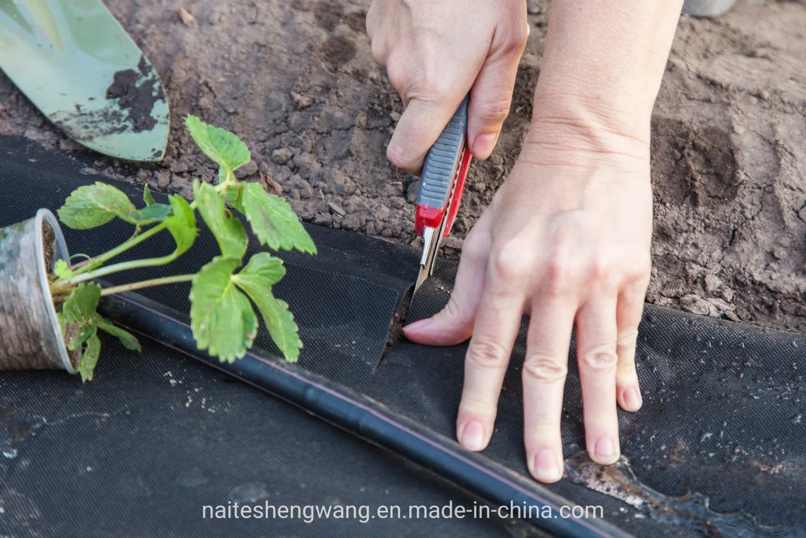 4X50m Custom UV Resistant Polypropylene Ground Cover Fabric