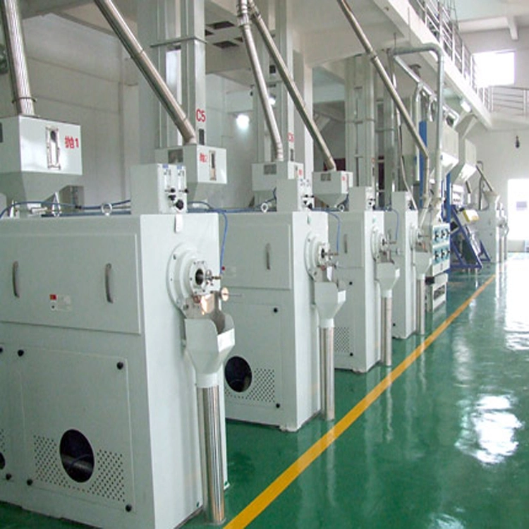 Factory Supply Auto Rice Milling Equipment Operation and Maintenance