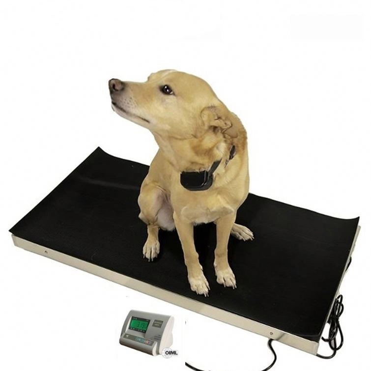 Digital Weight Floor Machines Electric Cattle Pig Floor Fence Scale Digital Weight Floor