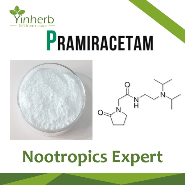 Бесплатные образцы купить Pramiracetam основную часть порошка CAS 68497-62-1 Nootropic Pramiracetam порошок