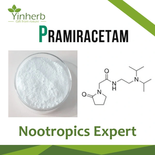 Amostra grátis comprar Pramiracetam pó a granel CAS 68497-62-1 Nootropic Pramiracetam em pó