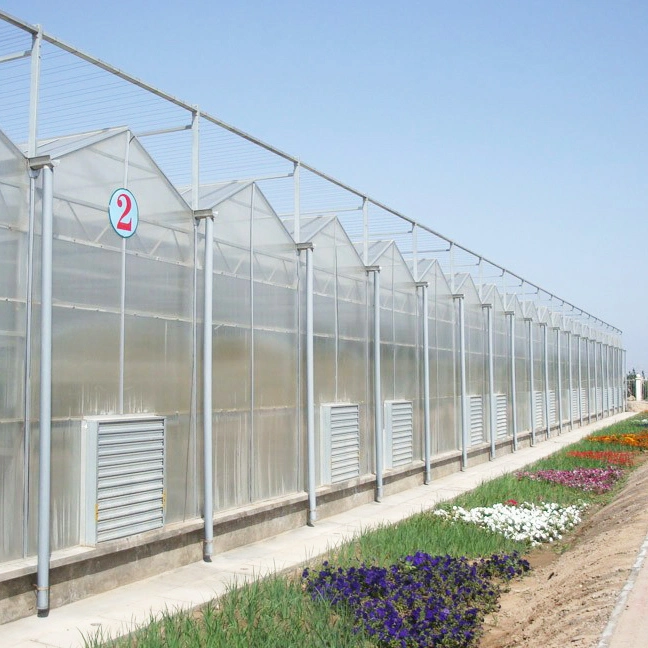 2023 China Supply Landwirtschaftliches Polycarbonat-Gewächshaus für die Länder des Nahen Ostens