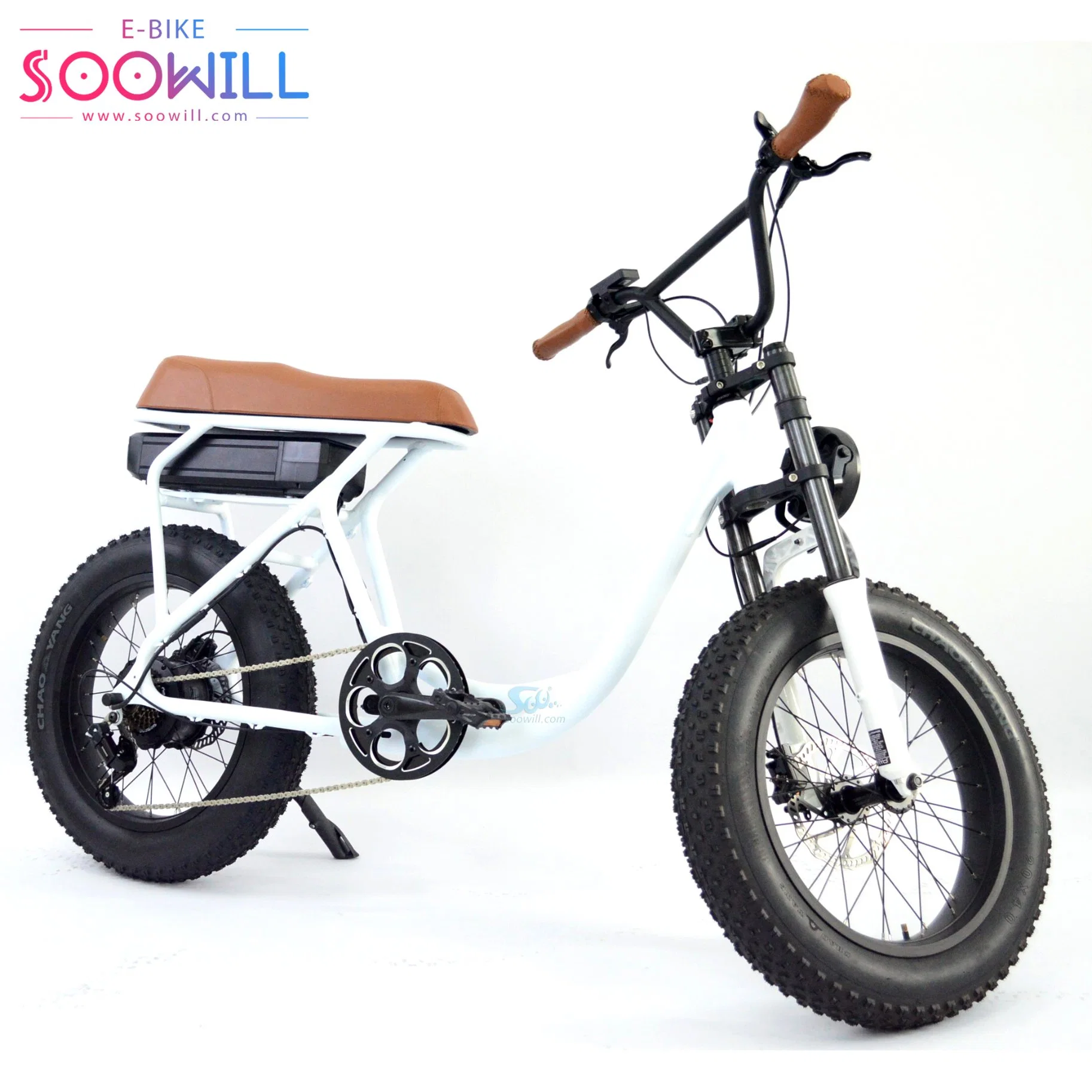 Soowill Moter Cycle de la batterie de 20 pouces pour les femmes Electric City Bike Ebike